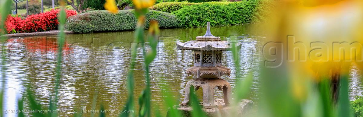 Peter Bellingham Photography Japanese Garden - Cowra